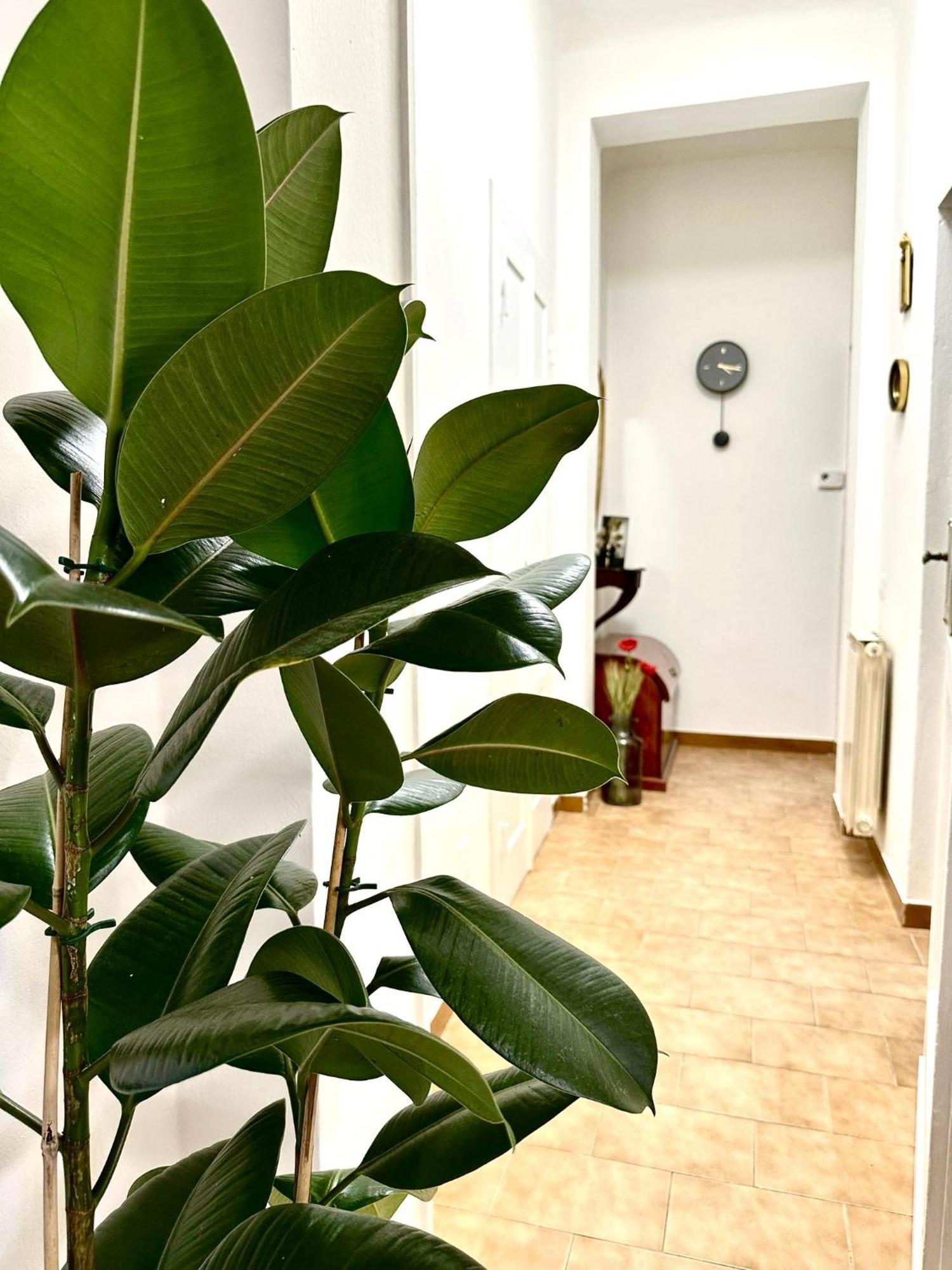 Vila Casa Ganza Pisa Exteriér fotografie